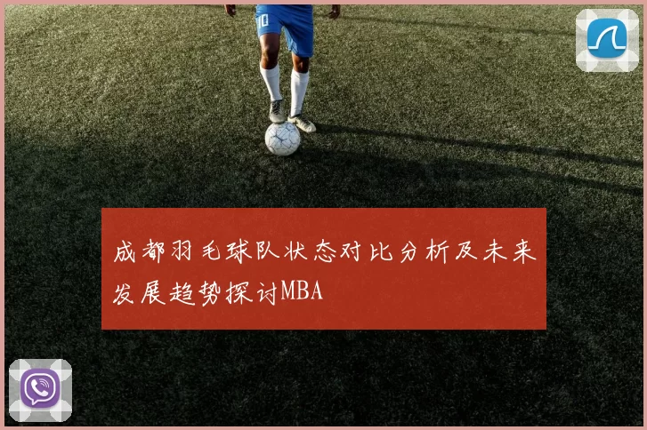 成都羽毛球队状态对比分析及未来发展趋势探讨MBA