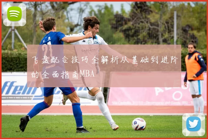 飞盘配合技巧全解析从基础到进阶的全面指南MBA