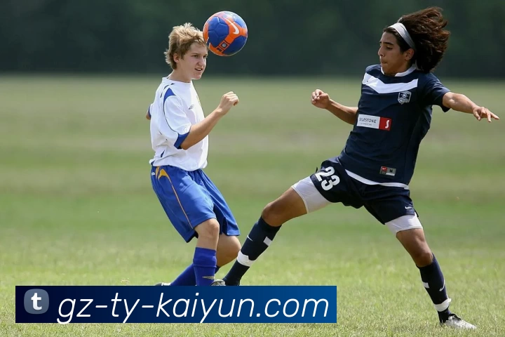 开云app下载发展历程