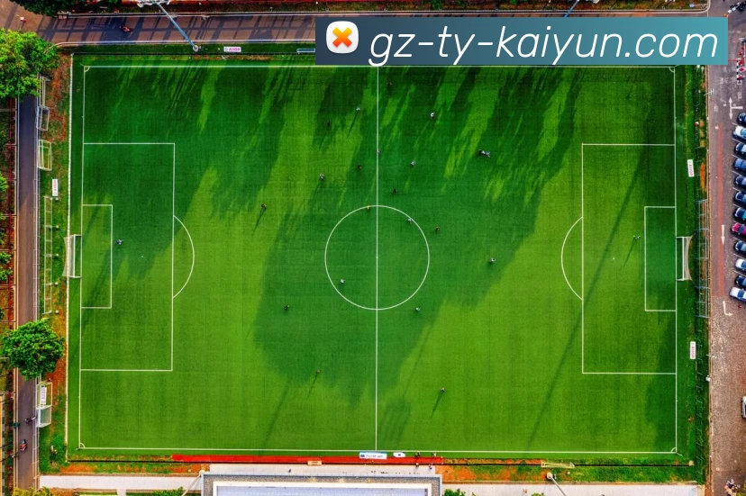 开云app下载全站App